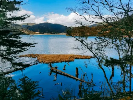 77spins Casino Aip Soghluaiste